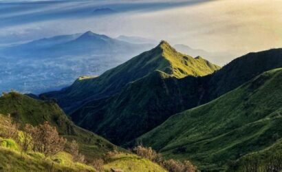 Merbabu Savana