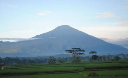 images (4)