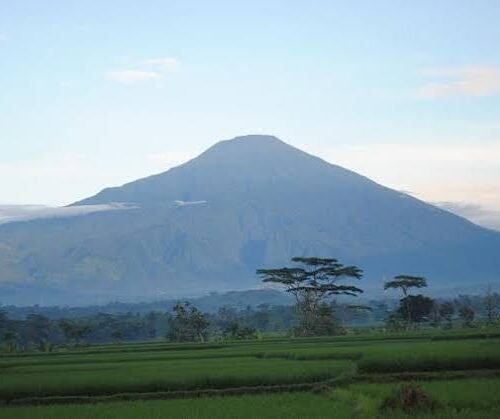images (4)